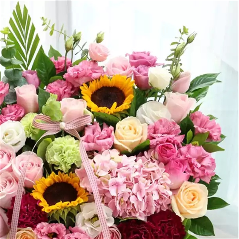 湛江同城鲜花(湛江同城鲜花)