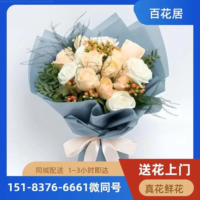 玫 瑰花语欣赏视频