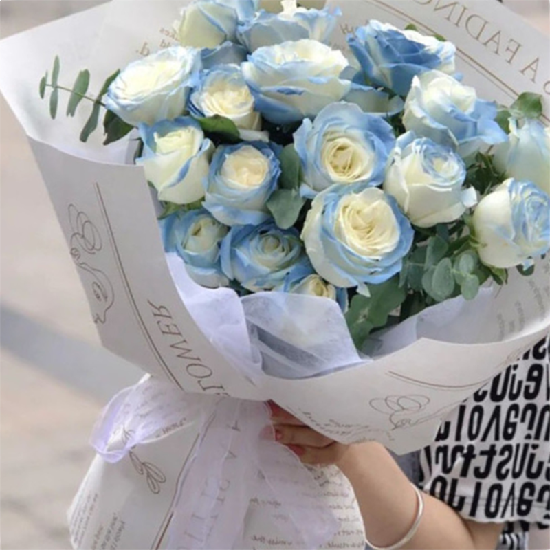 朱 槿花的花语和象征